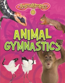 Animal Gymnastics