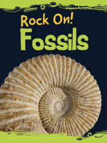 Fossils, Hardback Book Fossils, Hardback Book