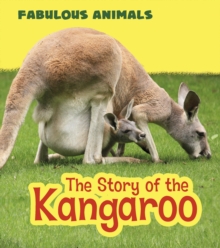 The Story of the Kangaroo, Hardback Book The Story of the Kangaroo, Hardback Book