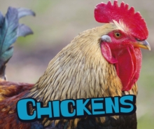 Chickens, Hardback Book Chickens, Hardback Book