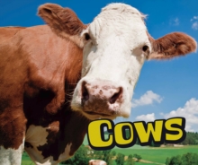 Cows, Hardback Book Cows, Hardback Book