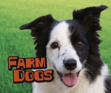 Farm Dogs, Hardback Book Farm Dogs, Hardback Book