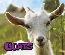 Goats, Hardback Book Goats, Hardback Book
