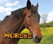Horses, Hardback Book Horses, Hardback Book