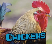 Chickens