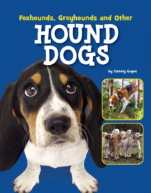 Foxhounds, Greyhounds and Other Hound Dogs, Hardback Book Foxhounds, Greyhounds and Other Hound Dogs, Hardback Book