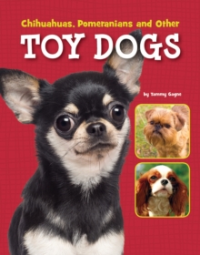 Chihuahuas, Pomeranians and Other Toy Dogs