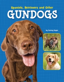 Spaniels, Retrievers and Other Gundogs