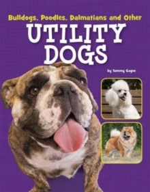 Dog Files Pack A of 7, Hardback Book Dog Files Pack A of 7, Hardback Book