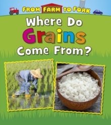 Where Do Grains Come From?, Paperback / softback Book Where Do Grains Come From?, Paperback / softback Book