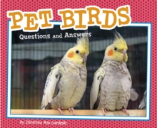 Pet Birds : Questions and Answers