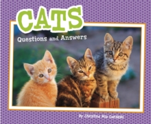 Cats : Questions and Answers