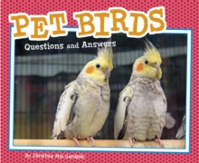 Pet Birds : Questions and Answers, Paperback / softback Book Pet Birds : Questions and Answers, Paperback / softback Book