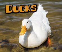 Ducks, Hardback Book Ducks, Hardback Book