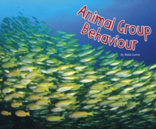 Animal Group Behaviour, Paperback / softback Book Animal Group Behaviour, Paperback / softback Book