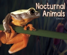 Nocturnal Animals, Paperback Book Nocturnal Animals, Paperback Book