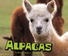 Alpacas