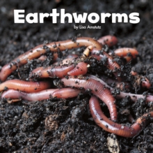 Earthworms, Hardback Book Earthworms, Hardback Book