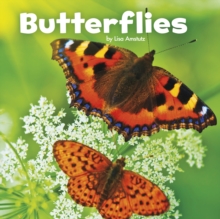 Butterflies, Paperback / softback Book Butterflies, Paperback / softback Book