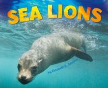Sea Lions, Hardback Book Sea Lions, Hardback Book