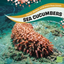 Sea Cucumbers