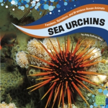 Sea Urchins