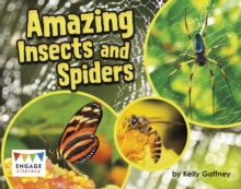 Amazing Insects and Spiders, Paperback / softback Book Amazing Insects and Spiders, Paperback / softback Book