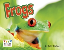Frogs, Paperback / softback Book Frogs, Paperback / softback Book