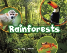 Rainforests, Paperback / softback Book Rainforests, Paperback / softback Book