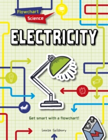 Electricity, Hardback Book Electricity, Hardback Book