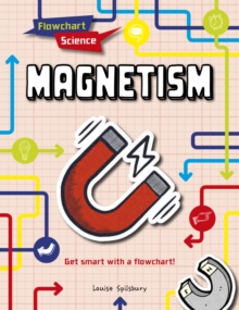 Magnetism, Paperback / softback Book Magnetism, Paperback / softback Book