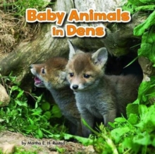 Baby Animals and Their Homes Pack A of 4, Paperback / softback Book Baby Animals and Their Homes Pack A of 4, Paperback / softback Book