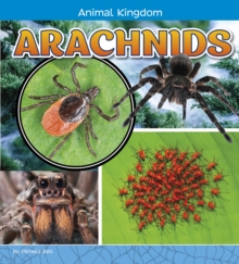 Arachnids, Hardback Book Arachnids, Hardback Book