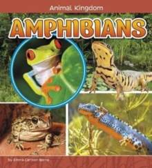 Amphibians, Hardback Book Amphibians, Hardback Book