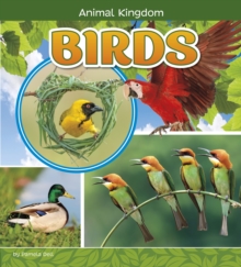 Birds, Hardback Book Birds, Hardback Book