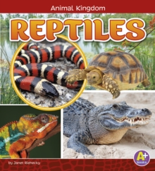 Reptiles, Hardback Book Reptiles, Hardback Book