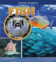 Fish, Paperback / softback Book Fish, Paperback / softback Book