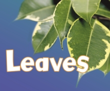 Leaves, Paperback Book Leaves, Paperback Book
