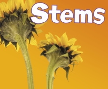 Stems