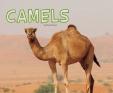 Camels, Paperback / softback Book Camels, Paperback / softback Book