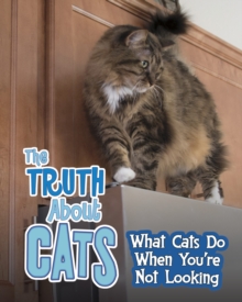 The Truth About Cats : What Cats Do When You're Not Looking, Hardback Book The Truth About Cats : What Cats Do When You're Not Looking, Hardback Book