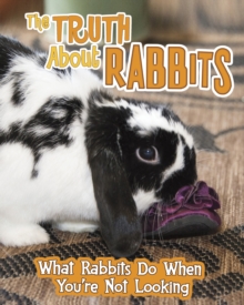 The Truth About Rabbits : What Rabbits Do When You're Not Looking, Hardback Book The Truth About Rabbits : What Rabbits Do When You're Not Looking, Hardback Book