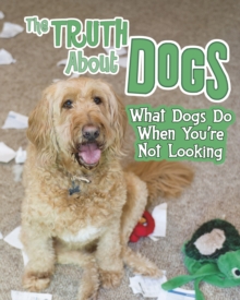 The Truth about Dogs : What Dogs Do When You're Not Looking, Paperback / softback Book The Truth about Dogs : What Dogs Do When You're Not Looking, Paperback / softback Book