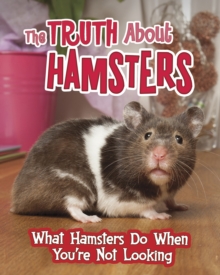 The Truth about Hamsters : What Hamsters Do When You're Not Looking, Paperback / softback Book The Truth about Hamsters : What Hamsters Do When You're Not Looking, Paperback / softback Book