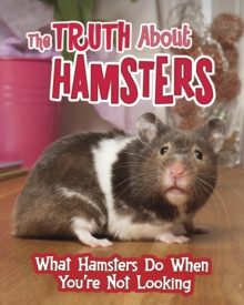 The Truth about Hamsters : What Hamsters Do When You're Not Looking