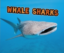 Whale Sharks, Paperback Book Whale Sharks, Paperback Book
