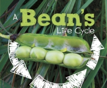 A Bean's Life Cycle, Hardback Book A Bean's Life Cycle, Hardback Book
