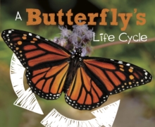 A Butterfly's Life Cycle, Hardback Book A Butterfly's Life Cycle, Hardback Book