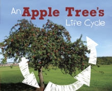 An Apple Tree's Life Cycle