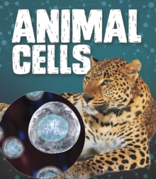 Animal Cells, Hardback Book Animal Cells, Hardback Book